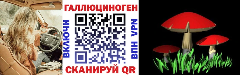 купить закладку  Спасск  Галлюциногенные грибы GOLDEN TEACHER 